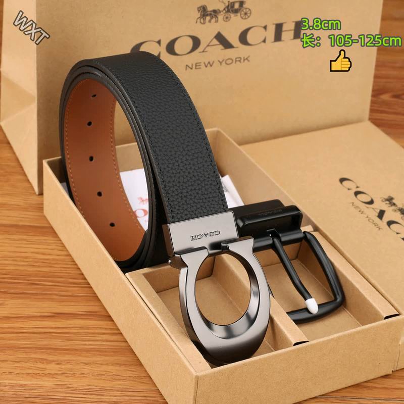 Coach belt 38mmX105-125cm 8L38
